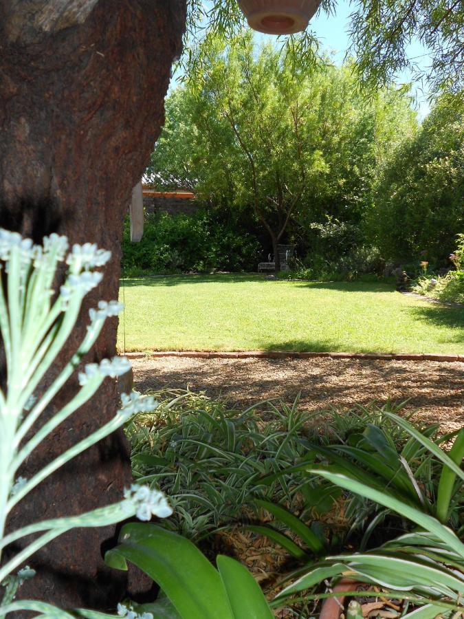 Pane Vivente Garden Cottage Beaufort West Extérieur photo