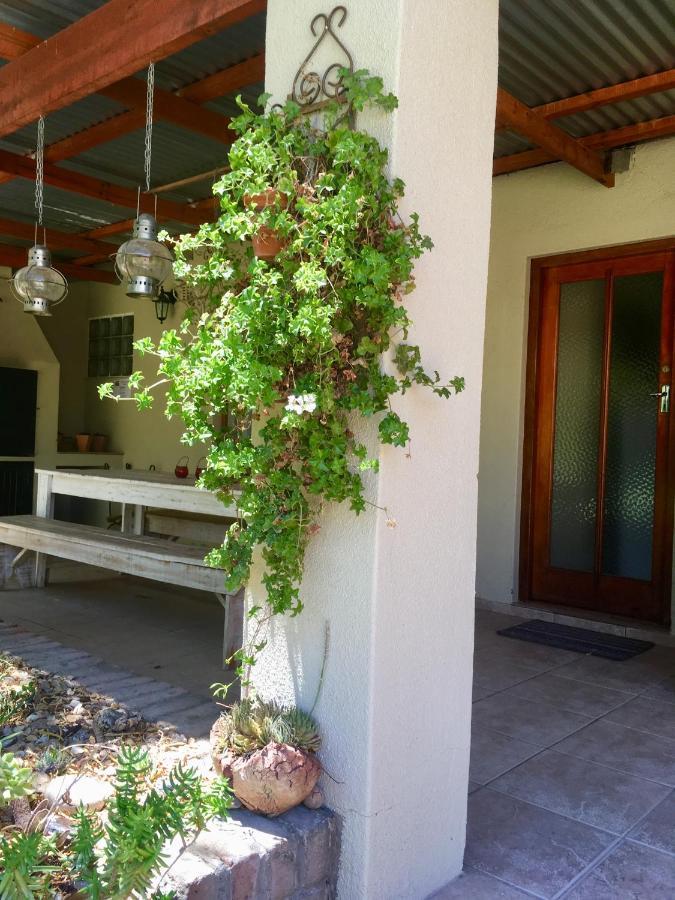 Pane Vivente Garden Cottage Beaufort West Extérieur photo